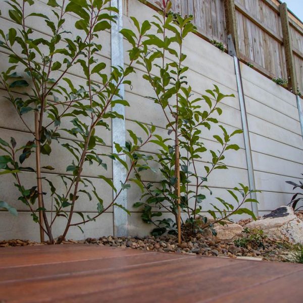 WRB Landscaping horticulture gallery